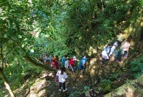  Du khách phải đi xuyên rừng và leo lên nhiều bậc đá để đến được các hang động trong Vườn quốc gia Xuân Sơn